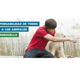 Bayer crea una nueva plataforma para fomentar la tenencia responsable …