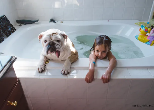 Perros que inspiran grandes fotos, grandes perros y humanas chiquitas: Harper & Lola