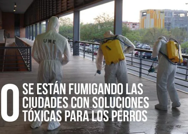 No, no están desinfectando los parques urbanos con sustancias tóxicas para los perros