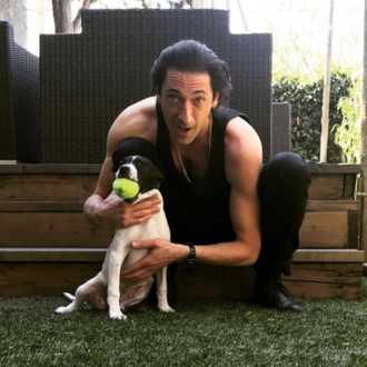Los amores perros de Adrien Brody
