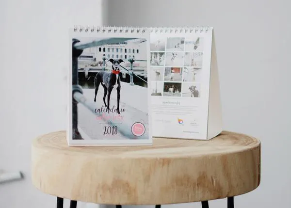 ¿Quieres un 2018 perrunamente más bonito? Hazte con el calendario solidario de Galgo Leku