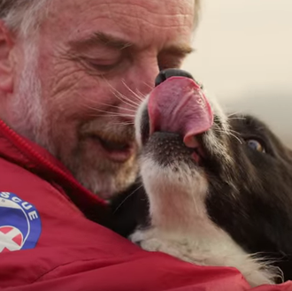 Perros de búsqueda y rescate en acción: el poderoso olfato …