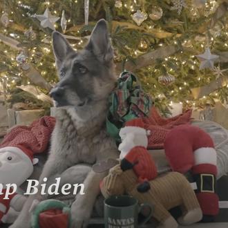 Celebres de la manera en la que celebres, ¡Feliz Navidad …