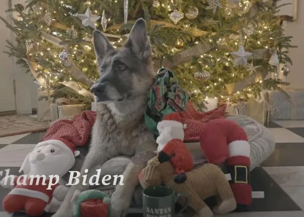 Celebres de la manera en la que celebres, ¡Feliz Navidad de Champ y Major Biden!