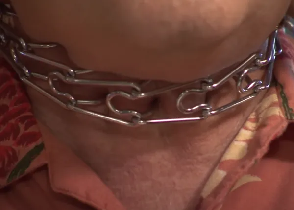 ¿Cómo sustituir los dañinos collares de pinchos y los collares eléctricos?  Victoria Stilwell lo demuestra