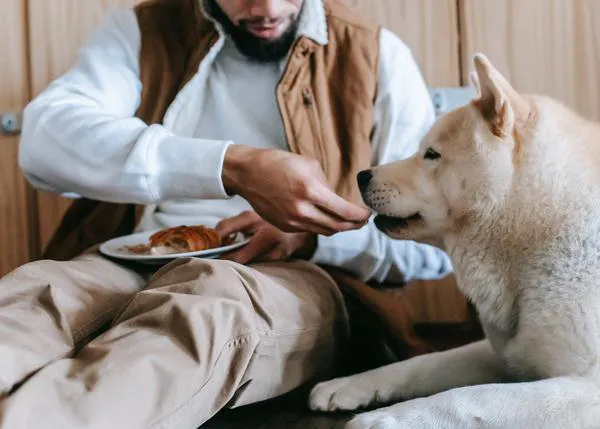 Un fuerte vínculo con un perro puede tener efectos positivos pero también negativos para la salud mental