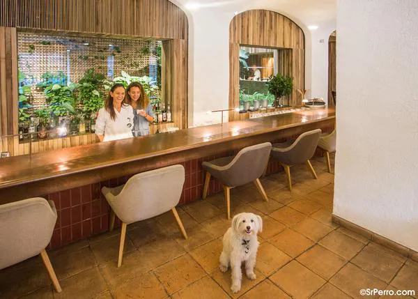 Selección SrPerro de bares y restaurantes vegetarianos o veganos en España (2023)