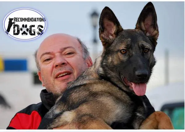Lanza una campaña para permitir que los perros visiten a sus familiares en el hospital
