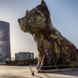 Agenda SrPerro mayo: meriending, desfiles de canes en adopción, paseos …