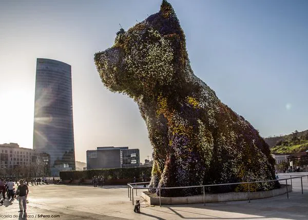 Agenda SrPerro mayo: meriending, desfiles de canes en adopción, paseos con arte, vermú....