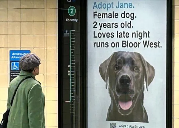 Enormes carteles de perros en adopción alegran el día a los viajeros en el metro (de Toronto)