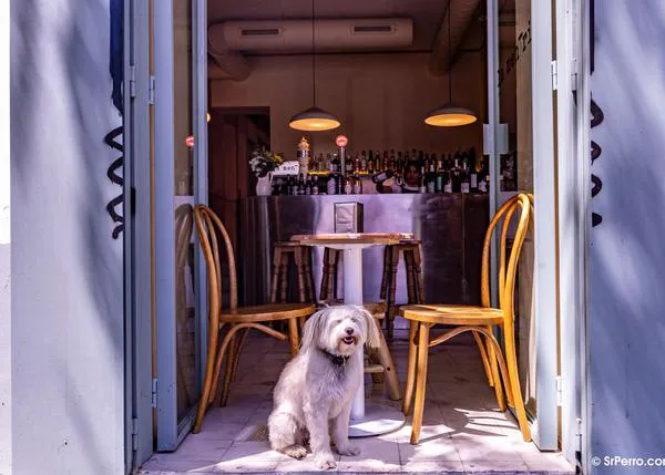 ¡De cañas con can! En estos estupendos bares y locales puedes probar cervezas artesanas junto a tu perro