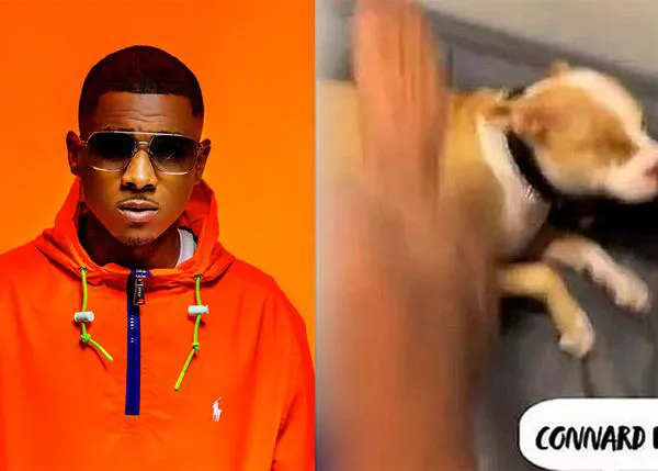 Retiran los perros y multan con 6000 € a un rapero francés que compartió un vídeo golpeando a su can
