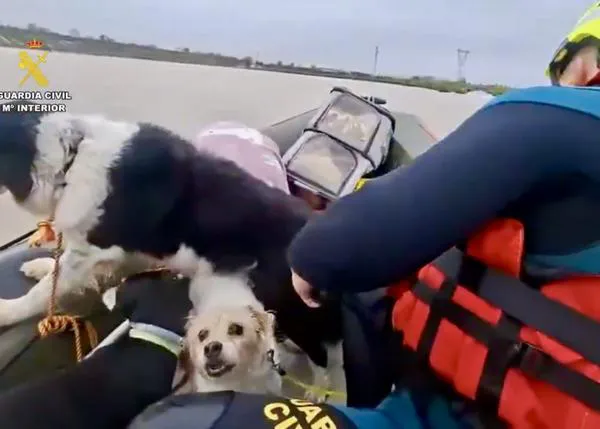 Medio centenar de vecinos y también perros y gatos rescatados ante la crecida del Río Guadalete