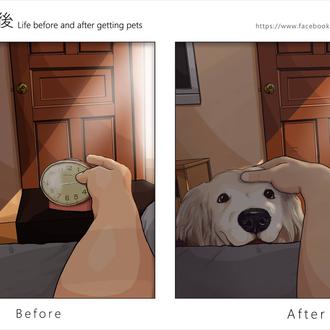Diferencias entre la vida con perro y la vida sin …