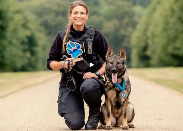 Los estupendos premios que celebran a los perros policía en el Reino Unido: los Thin Blue Paw Awards