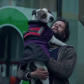 Amores que nos hacen mejores, amores que sanan: el hogar …