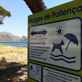 Cierran temporalmente la playa perruna de Llenaire... por otro envenenamiento …
