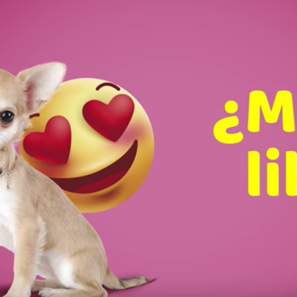 El servicio de Alquiler de perros Rent a Doggie y …