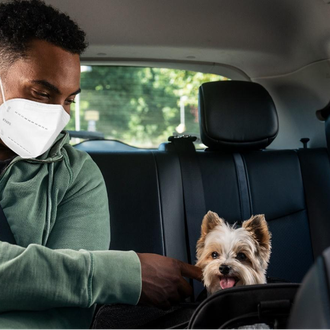 ¿Puedes viajar en Uber con tu perro? ¡Sí! Uber Pet …