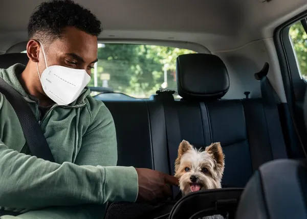 ¿Puedes viajar en Uber con tu perro? ¡Sí! Uber Pet está disponible en varias ciudades de España