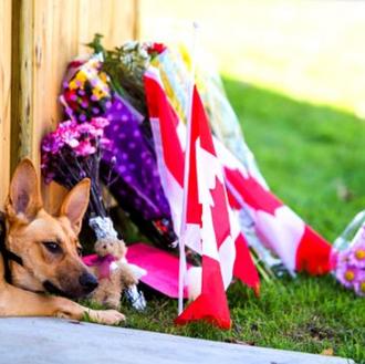#TweetAPicOfYourDog, homenaje en Twitter al soldado asesinado en Canadá