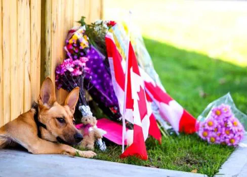 #TweetAPicOfYourDog, homenaje en Twitter al soldado asesinado en Canadá