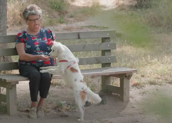 #Vínculosquedanvida: historias reales de lo mucho que los perros hacen por las personas