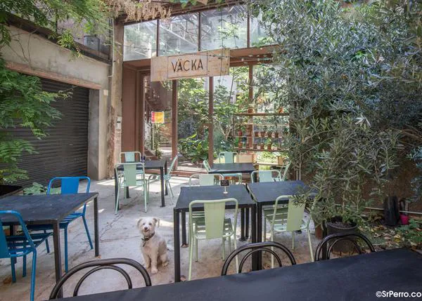 Terrazas bonitas donde comer (más que bien) en compañía de tu perro desde Barcelona a Madrid pasando por Córdoba
