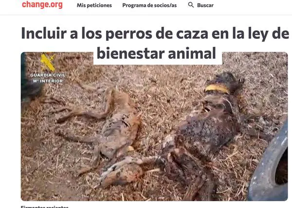 Cerca de 41.000 personas exigen que se modifique la Ley de Bienestar Animal para incluir a los perros de caza