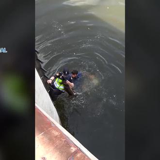 La Policía Nacional al rescate: así han sacado del río …