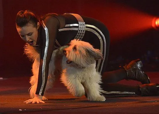 ¡Y ganó Pudsey! Un SrPerro (y su humana) arrasan en la TV británica