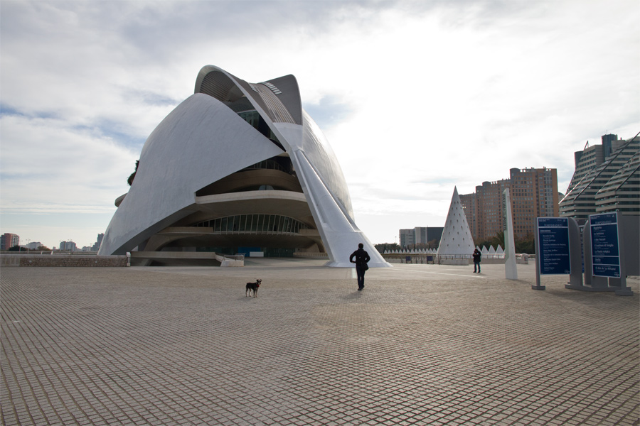 Paparazzi perruno en Valencia retratos de canes en la ciudad (y de
