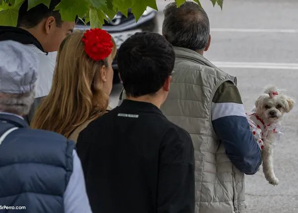 Alertan, desde el punto de vista veterinario, sobre los peligros del “rentable fenómeno de los perrihijos”