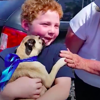 La adopción de Amelia: una carlino rescatada y la inmensa …