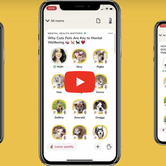 De Clubhouse a Doghouse: Pedigree 