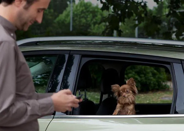 Canes controlados vía móvil... en un anuncio perruno de Ford