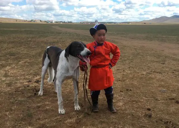 La relación entre los perros y las personas es muy similar, independientemente del país en el que vivan