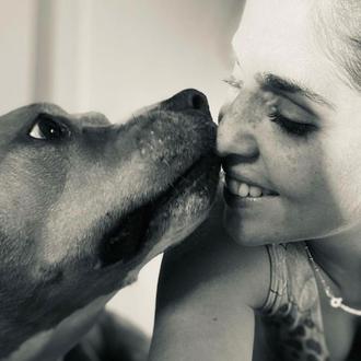 La adopción desde dentro: historias de perros complicados y las …
