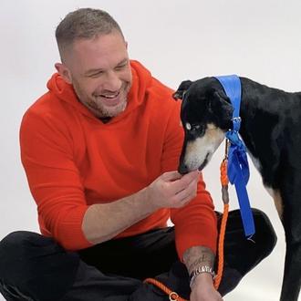 Las felicidades de Tom Hardy: el actor juega con dos …