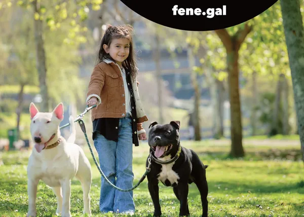 ‘Vivir sen etiquetas’, campaña de concienciación para fomentar la adopción de PPPs