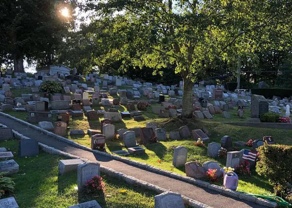 El cementerio de animales más antiguo del mundo y otros cementerios donde descansan humanos y perros juntos