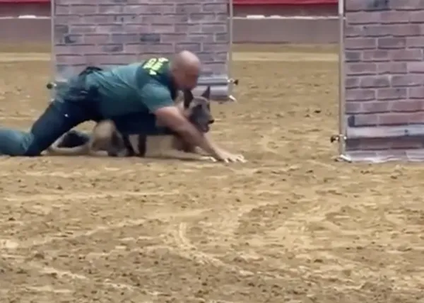Un Malinois y su guía, Guardia Civil, demuestran su (espectacular) trabajo en equipo