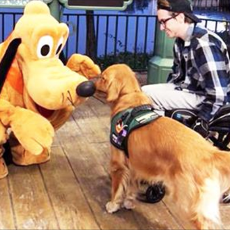 El encuentro de un perro de asistencia con Pluto derrite …
