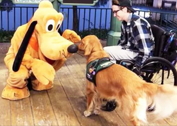 El encuentro de un perro de asistencia con Pluto derrite corazones y conciencia sobre las enfermedades crónicas