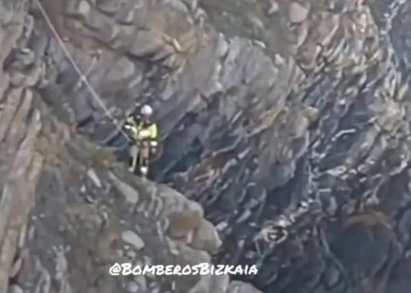 Impresionantes imágenes de los bomberos de Bizkaia rescatando a una perra en el acantilado de Muskiz