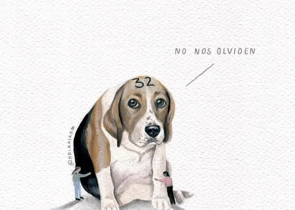 Vivotecnia, ¡ha pasado un mes y todo sigue (casi) igual!: los animales están aún dentro del laboratorio de Tres Cantos