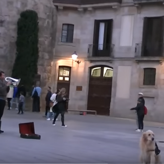 La música cautiva a un Golden que pasea por Barcelona …