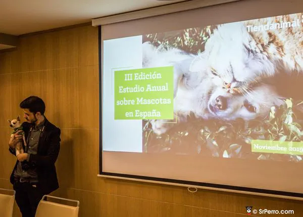 Radiografía de los animales domésticos en España: aumenta la compra y también el presupuesto que se dedica a cuidarlos