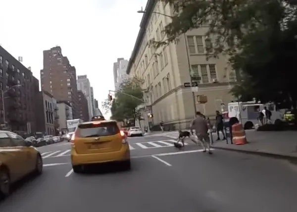 Trepidante persecución para intentar salvar a un pequeño perro que corría veloz por las calles de Nueva York